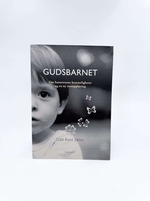Hovedbilde Bok Gudsbarnet